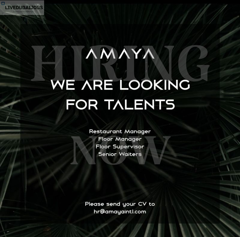 Amaya International Career