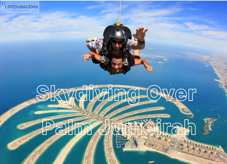 Solo Activities in Dubai 2