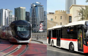 Dubai’s Public Transport: Dubai public transport 2