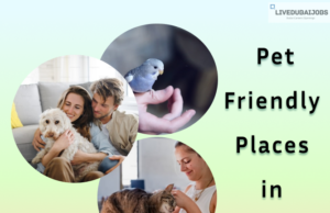 Pet-Friendly Places 2024 Pet-Friendly Places in Dubai