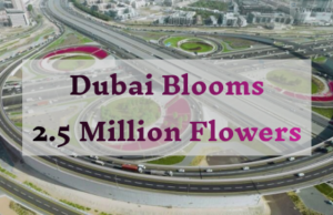 Dubai Blooms with 2.5 Million Flowers Dubai Blooms