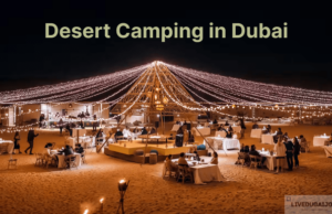 Desert Camping in Dubai Desert Camping in Dubai